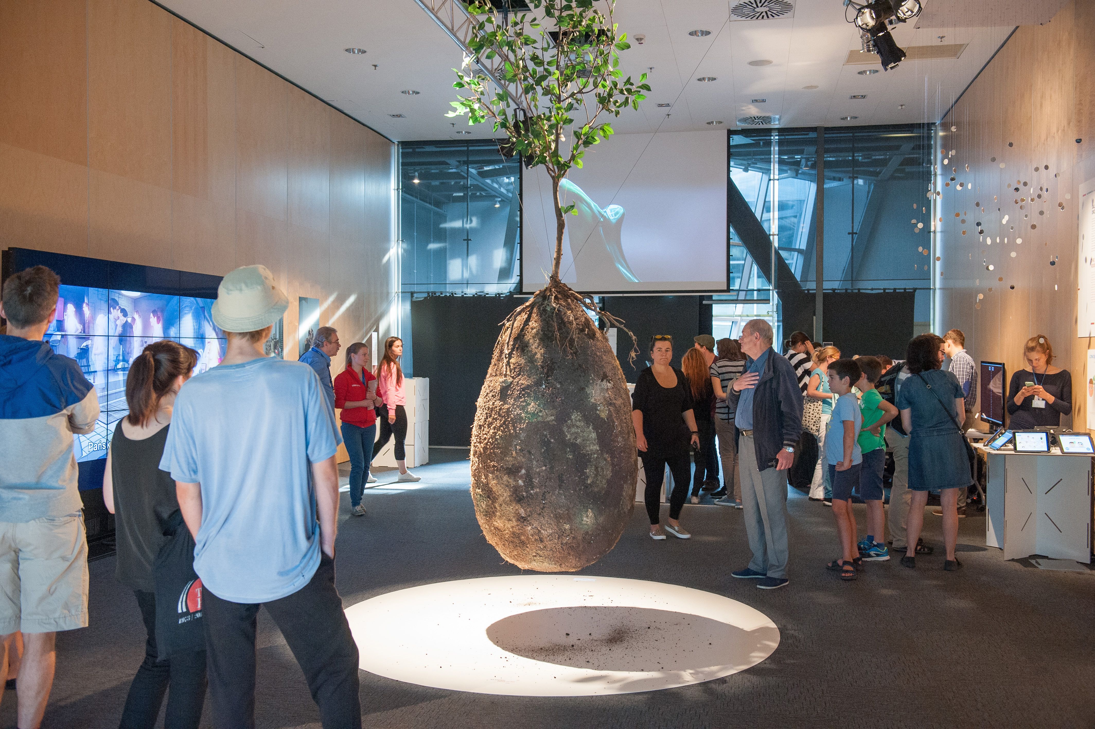 This is a bio-degradable pod with the remains buried to nurture trees